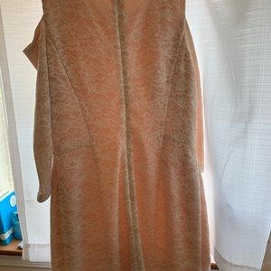 Fitted dress brand Eliza J from von maur